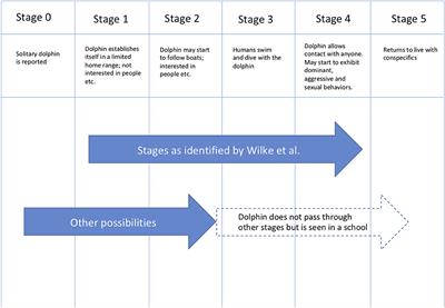A Global Reassessment of Solitary-Sociable Dolphins